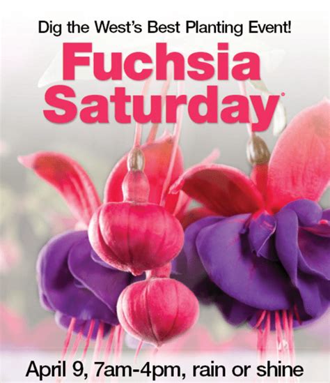 fuchsia saturday 2024 fred meyer